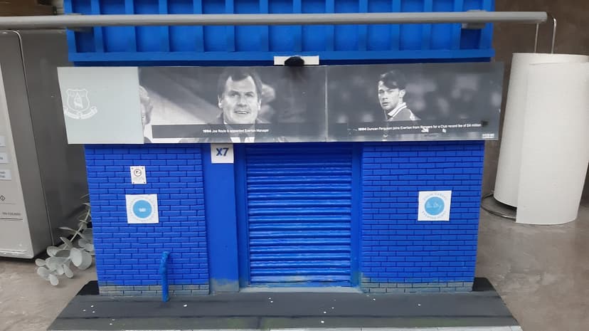 Model of Exit in Goodison road